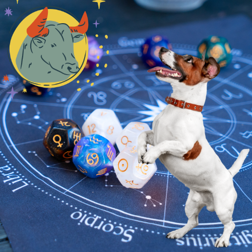 Horoskop dla psa spod znaku Byka (20.04-20.05)