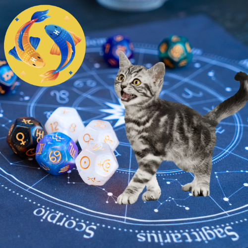 Horoskop dla kota spod znaku Ryby (19.02-20.03)