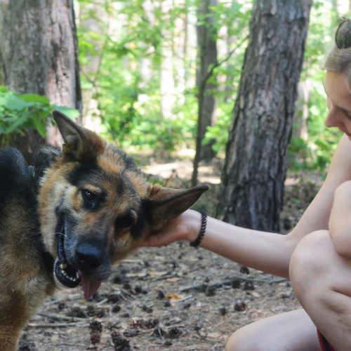 Psy ze schroniska do adopcji Horacy