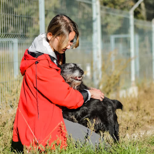 Psy ze schroniska do adopcji Adaś 